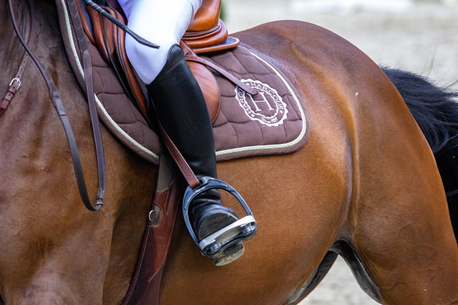 I migliori consigli per iniziare l’equitazione